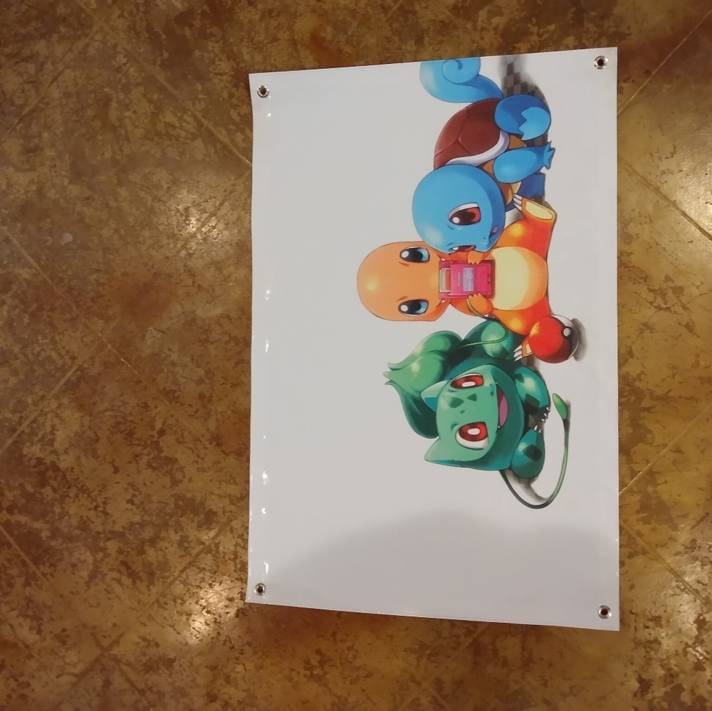 Pokemon Vinyl Banner